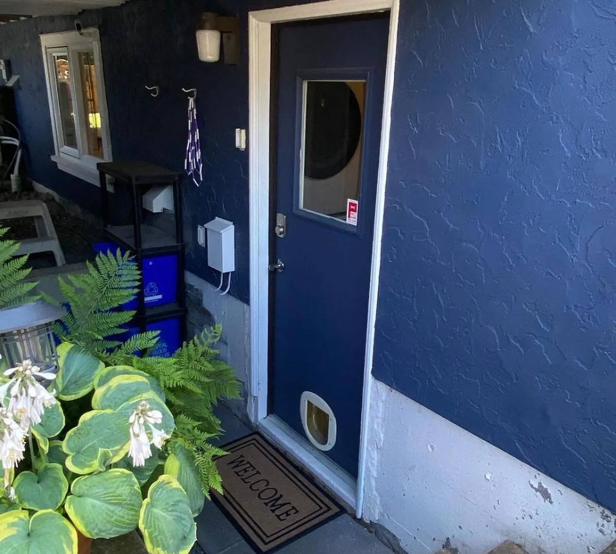 ויקטוריה Ravens Nest Cozy Lower One Bedroom Suite קנדה